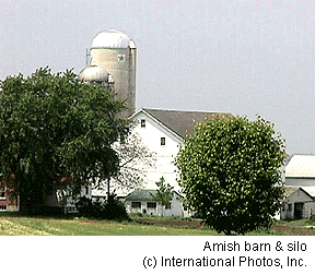 Amish Barn & Silo