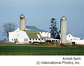 Farm